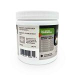 Green Lipped Mussels - Image 2