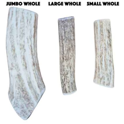 Antler, chew, long lasting, treat