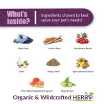 HWF (Natural Heartworm Prevention and Treatment) - Image 3