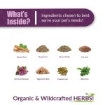 Life Cell Support - Image 2