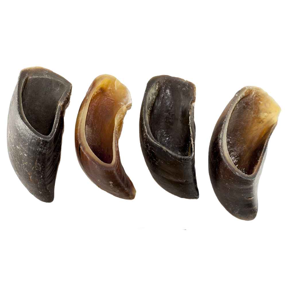 Cow Hoove Cow/Beef Hooves - OR - Image 1