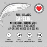 Icelandic+ Capelin Whole Fish - Image 4