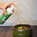 Thrive Hemp Seed Oil – 500ml - Image 4