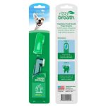 Toothbrush, Teeth, Brush, Dental Care