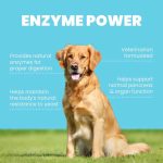 Four Leaf Rover Digest - Image 2