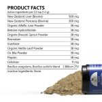 Four Leaf Rover Digest - Image 3