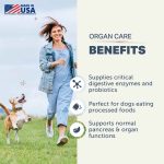 Four Leaf Rover Organ Care (Digest) - Image 4