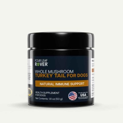 FLR, Four Leaf Rover, Turkey Tail Mushroom, Mushroom, Turkey Tail, Immune, Immunity, Four Leaf Rover, Mushroom