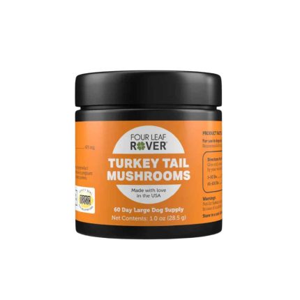 FLR, Four Leaf Rover, Turkey Tail Mushroom, Mushroom, Turkey Tail, Immune, Immunity