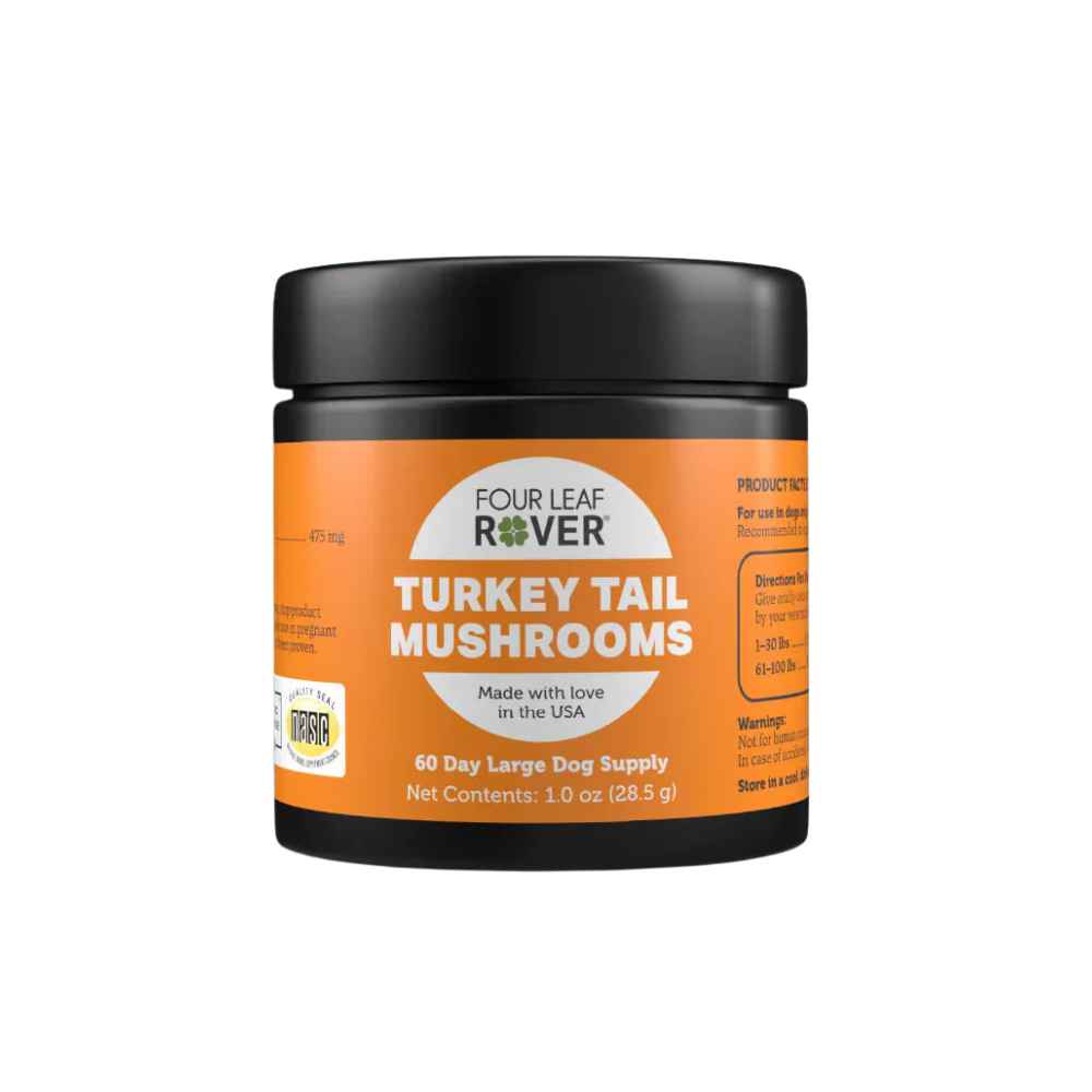 FLR Turkey Tail FLR, Four Leaf Rover, Turkey Tail Mushroom, Mushroom, Turkey Tail, Immune, Immunity