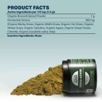 Four Leaf Rover Green Rover - Image 3