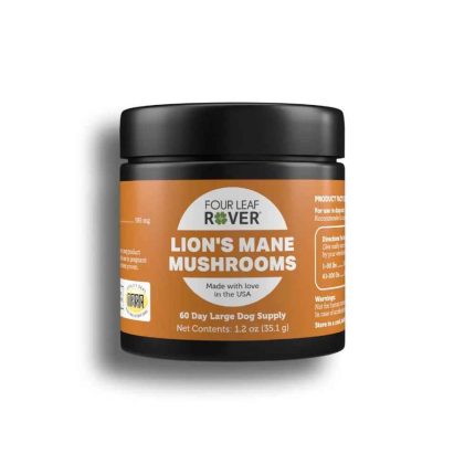 Four Leaf Rover, FLR, Lion's Mane Mushroom, Lion's Mane, Mushroom, Immune, Brain