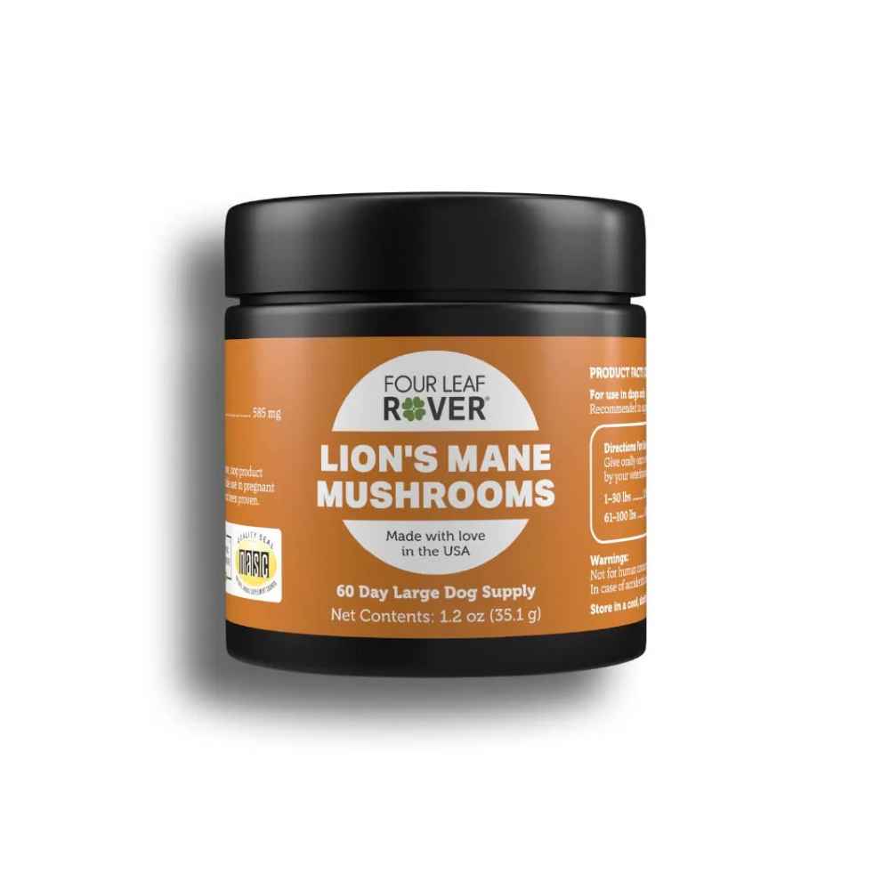 FLR Lion's Mane Four Leaf Rover, FLR, Lion's Mane Mushroom, Lion's Mane, Mushroom, Immune, Brain