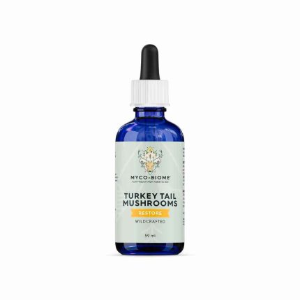Turkey Tail Mushroom, Mushroom, Antioxidant, Adored Beast Apothecary