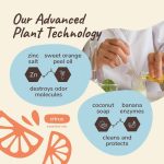 Pee+Stain+Odor Destroyer (Multi-Surface) - Citrus - Kin+Kind - Image 2