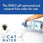 Cat Water 4L - PH Balanced - Image 2