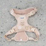 DexyPaws No Pull Harness, harness, dexypaws