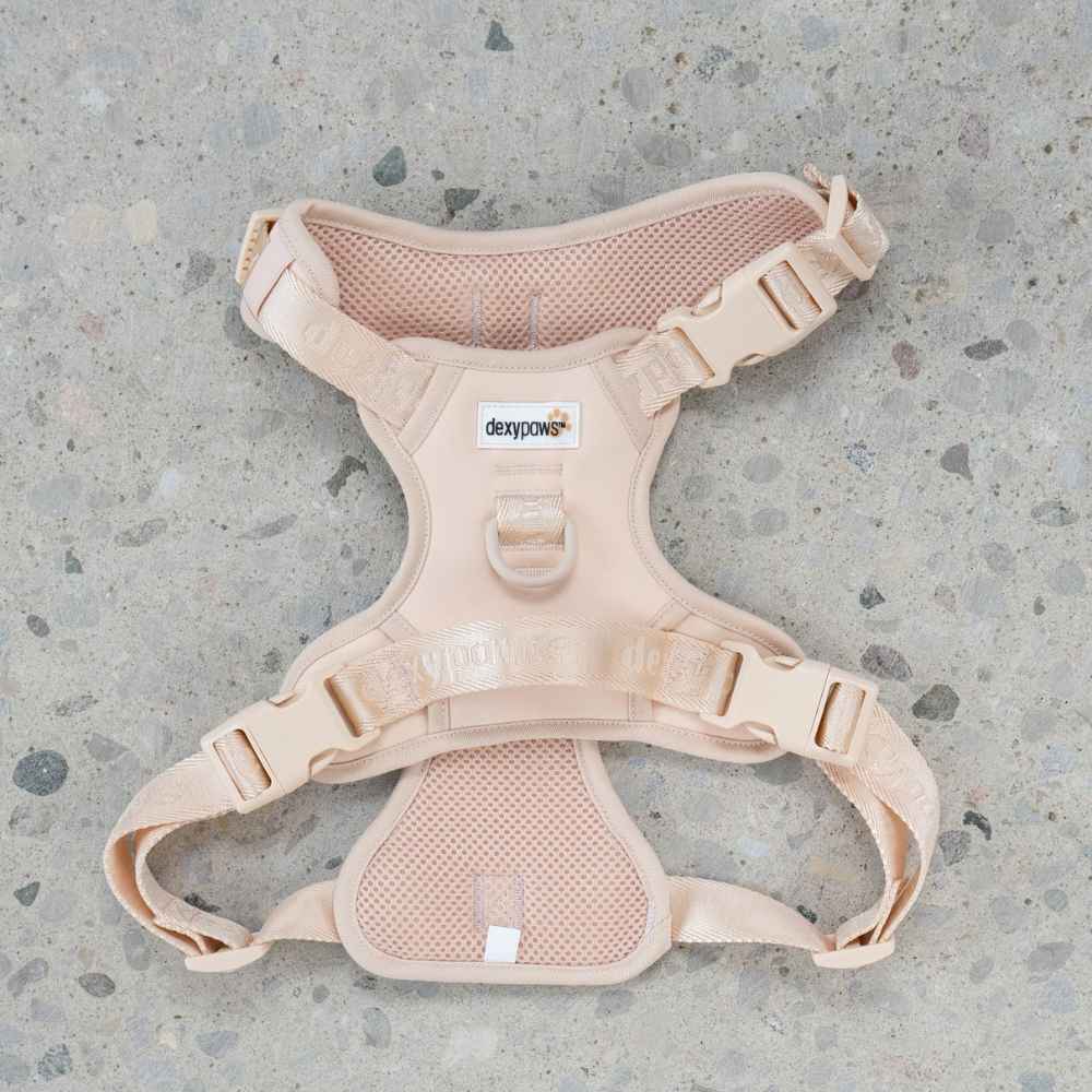 Dexy Harness Back DexyPaws No Pull Harness, harness, dexypaws