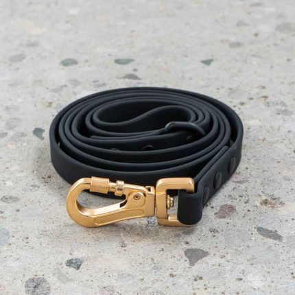 DexyPaws Waterproof Leash, Leash, Waterproof, dexypaws