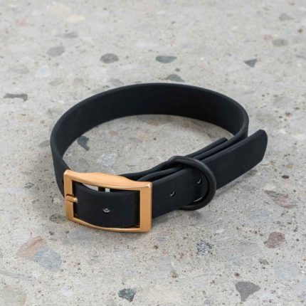 DexyPaws Waterproof Collar, Dexypaw, collar, waterproof, waterproof collar