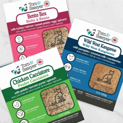 Tom & Sawyer Cat, Cat, Cat Food, Cooked Food, Cooked