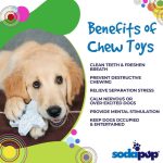 Sodapup Snowflake Ultra Durable Chew Toy - Image 3