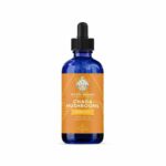 Chaga Mushroom Triple Extract Adored Beast Apothecary