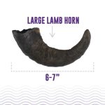 Icelandic+ Lamb Horns - Image 2