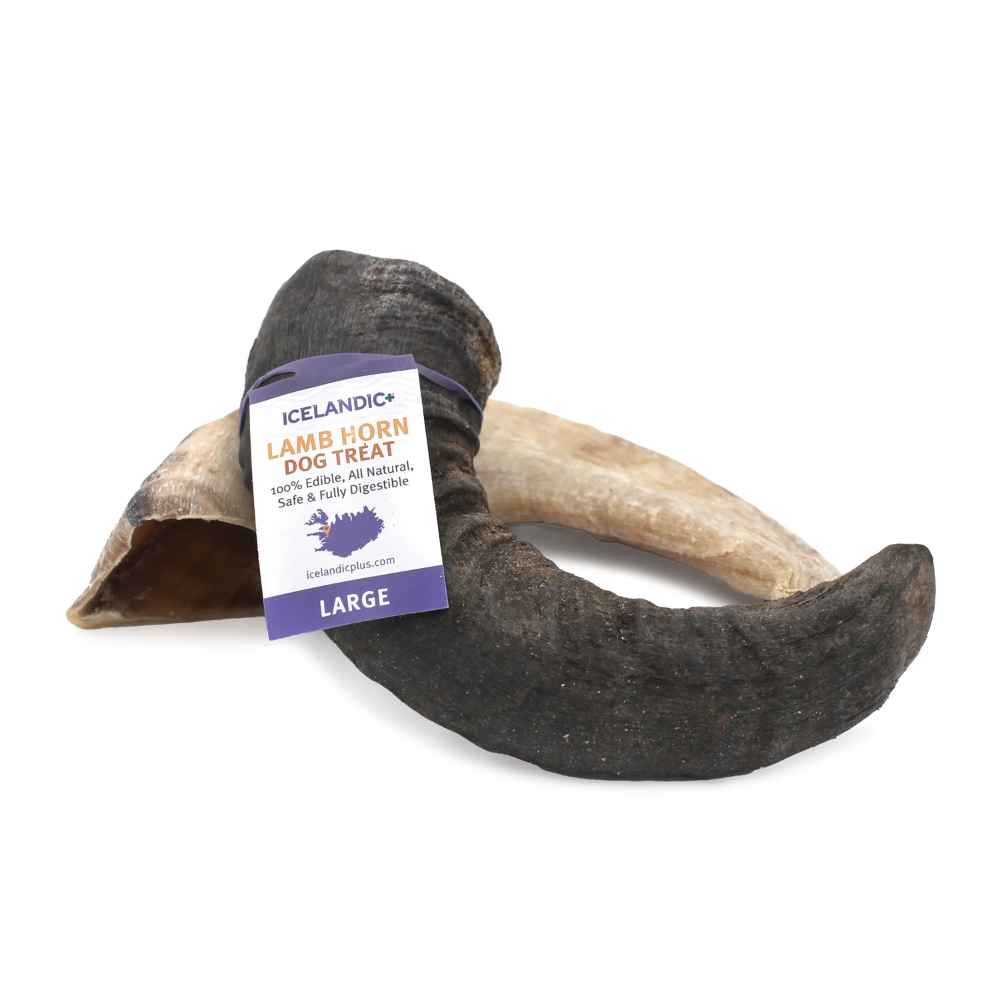 Icelandic+ Lamb Horn Icelandic+ Lamb Horn Dog Chew, Icelandic, Lamb, Horn, Chew, Snack Bar