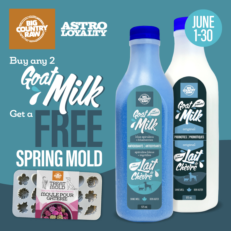 May Promo 3