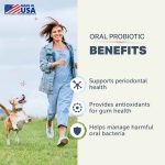 Four Leaf Rover Oral Health - Image 4