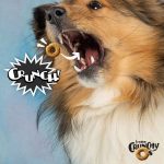 Fromm Crunchy Os. Fromm, Treat, Cookies, Dog, Dog Treat