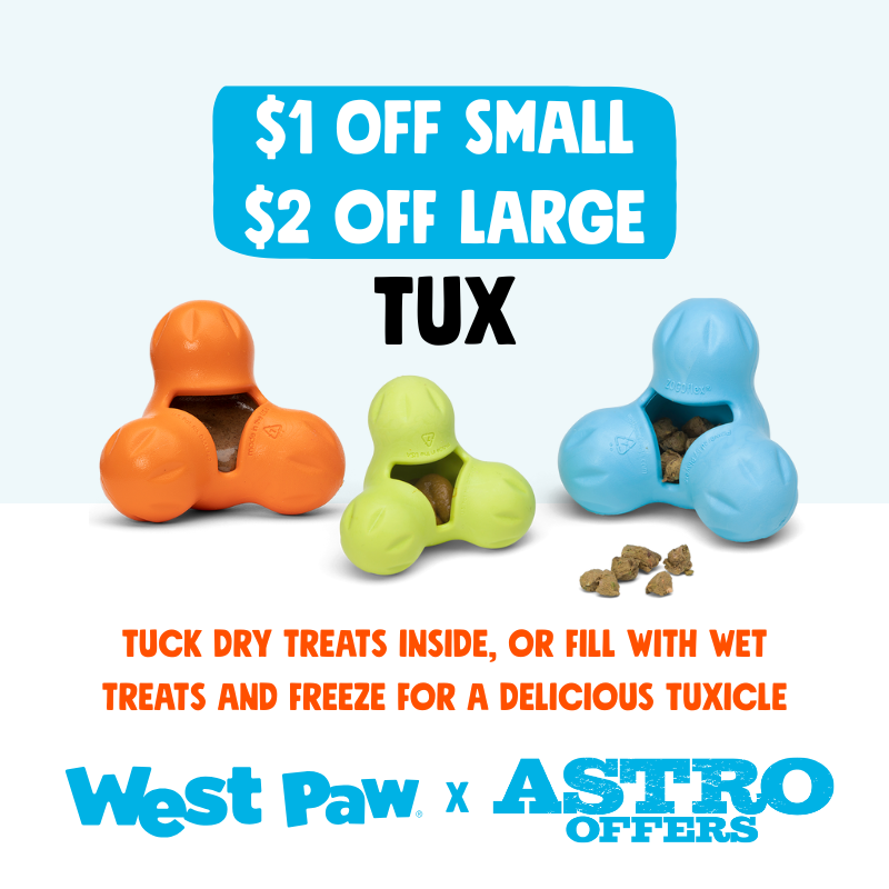 Promo Image 9