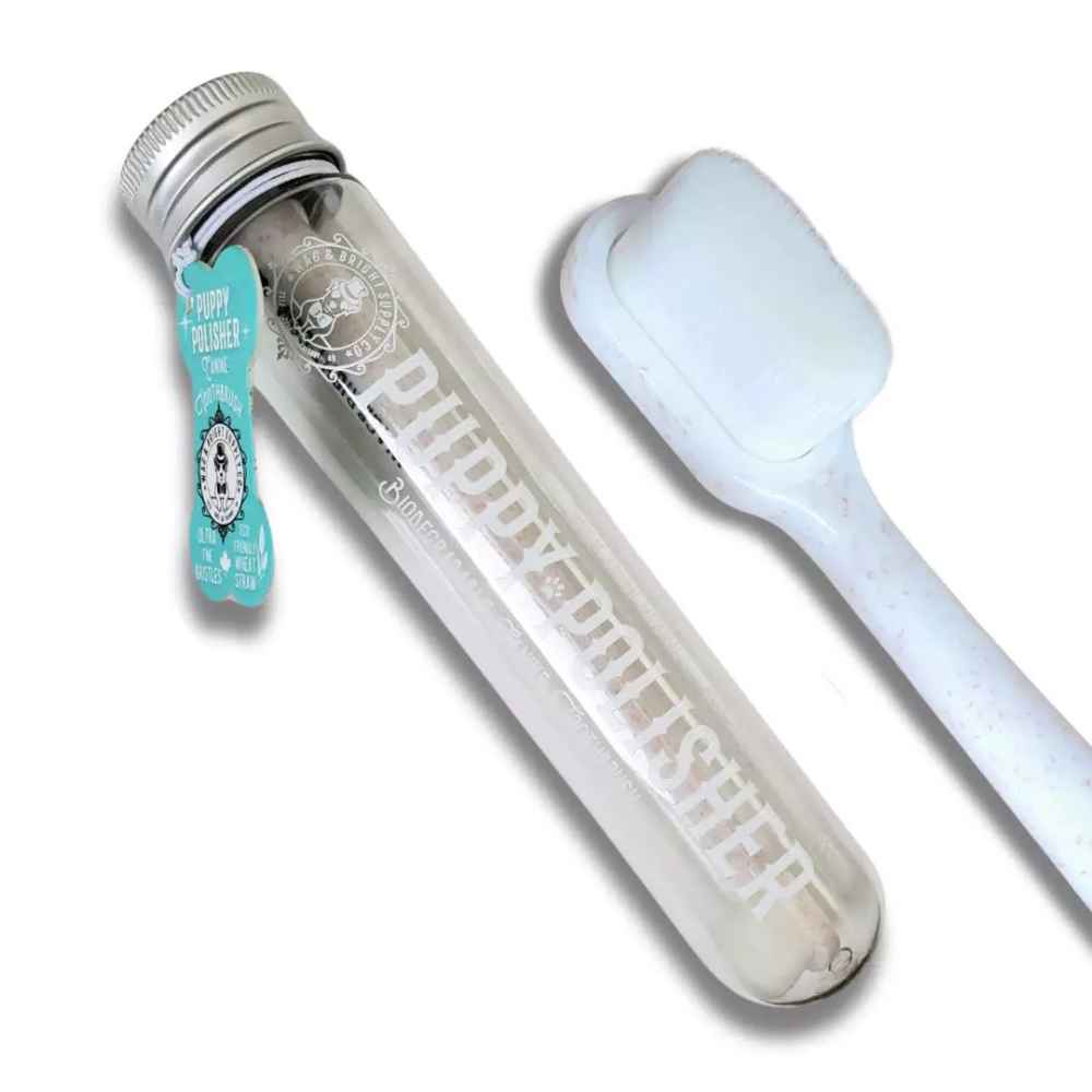 Wag & Bright Polisher Eco Toothbrush Wag & Bright Polisher Eco Toothbrush, Wag & Bright, Toothbrush, Dental care, Dental, Brush, Teeth, Dental Hygiene