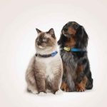 Tickless Rechargeable, Tickless, Ultrasonic Technology, Ultrasonic, Tickl, Flea, Flea & Tick, Preventative
