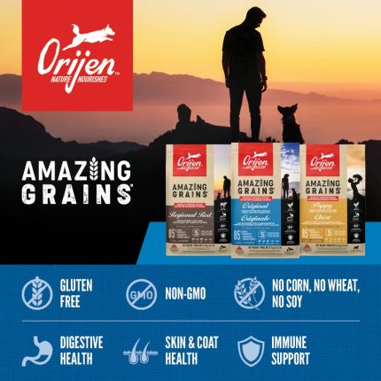 Orijen Amazing Grains, Orijen, Amazing Grains, Grain, Orijen, Dry, Dry Food, Dog, Dog Food, Dry Dog Food, High Protein, Whole Prey