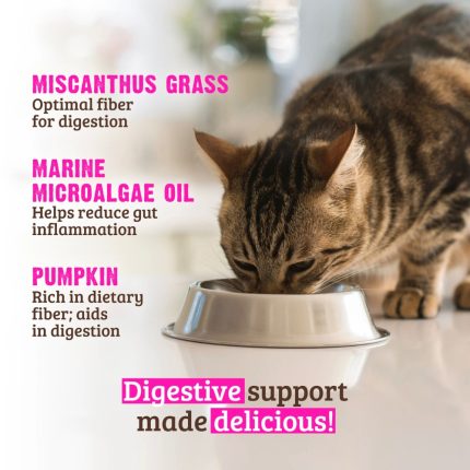 Rawz Digestive Support Canned Cat Food, Rawz, Digestive Support, Digestive, Digest, Fiber, Cta, Canned Cat Food, Wet Food, Cat