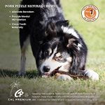 Cal Premium Pork Pizzles 10", Cal Premium, Pork, Pork Pizzle, Bully, Bully Stick, Single Protein, Snack Bar, Treat, Chew